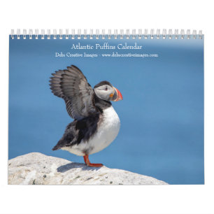 Calendrier 2027 Macareux de l'Atlantique Photographie de la