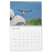 Calendrier 2027 Macareux de l'Atlantique | Photographie de la (Mar 2027)