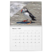 Calendrier 2027 Macareux de l'Atlantique | Photographie de la (Feb 2027)