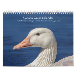 Calendrier 2027 Oies du Canada Photographie de faune famili