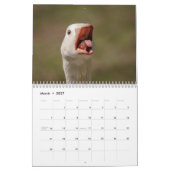 Calendrier 2027 Oies du Canada | Photographie de faune famili (Mar 2027)