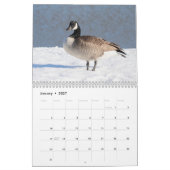 Calendrier 2027 Oies du Canada | Photographie de faune famili (Jan 2027)