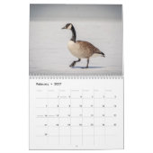 Calendrier 2027 Oies du Canada | Photographie de faune famili (Feb 2027)