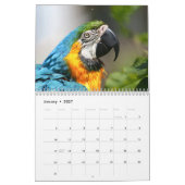 Calendrier 2027 Oiseaux (Jan 2027)