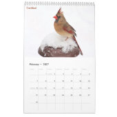Calendrier 2027 Oiseaux chanteurs de Hudson Valley | Photogra (Feb 2027)