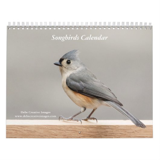 Calendrier 2027 Oiseaux chanteurs de jardin | Hudson Valley & (Protection)