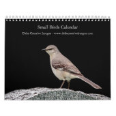 Calendrier 2027 Oiseaux chanteurs de jardin | Oiseaux d'Améri (Protection)