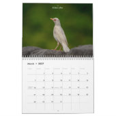 Calendrier 2027 Oiseaux chanteurs de jardin | Oiseaux d'Améri (Mar 2027)
