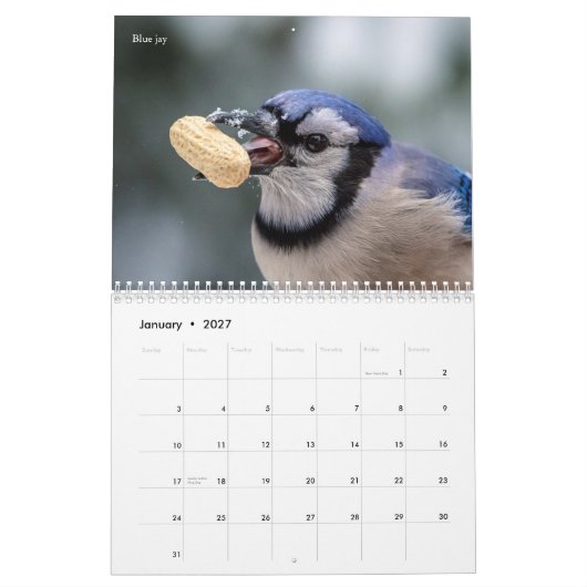 Calendrier 2027 Oiseaux chanteurs de jardin | Oiseaux d'Améri (Jan 2027)