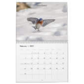 Calendrier 2027 Oiseaux chanteurs de jardin | Oiseaux d'Améri (Feb 2027)