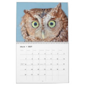 Calendrier 2027 Oiseaux Éducatifs à Wild Mountain Birds (Mar 2027)