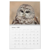 Calendrier 2027 Oiseaux Éducatifs à Wild Mountain Birds (Jan 2027)