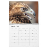 Calendrier 2027 Oiseaux Éducatifs à Wild Mountain Birds (Feb 2027)