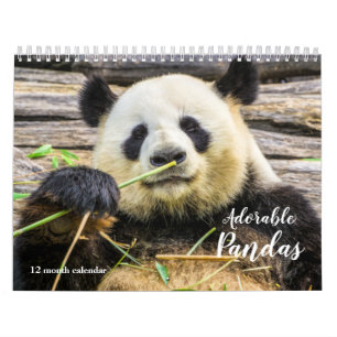 Calendrier 2027 Pandas Adorables