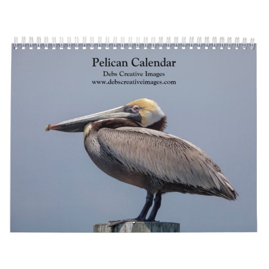 Calendrier 2027 Pélicans de Floride | Faune côtière (Protection)