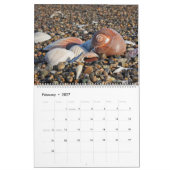 Calendrier 2027 Plage de Coquillages de Wall Seashell Beach  (Feb 2027)