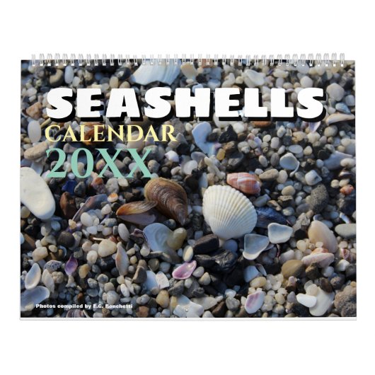 Calendrier 2027 Plage de Coquillages de Wall Seashell Beach  (Protection)