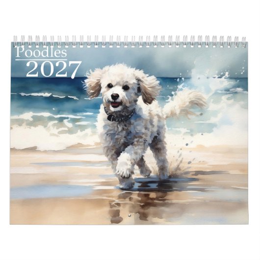 Calendrier 2027 Poodles (Protection)