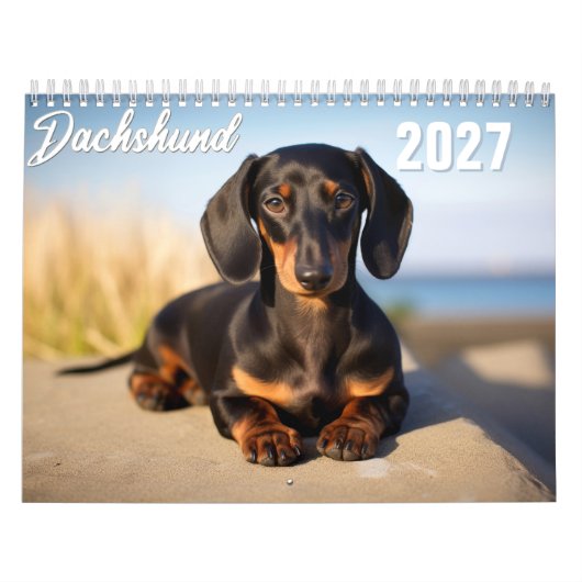 Calendrier 2027 pour les Dachshunds (Protection)