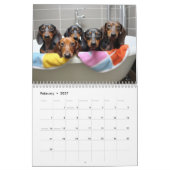 Calendrier 2027 pour les Dachshunds (Feb 2027)