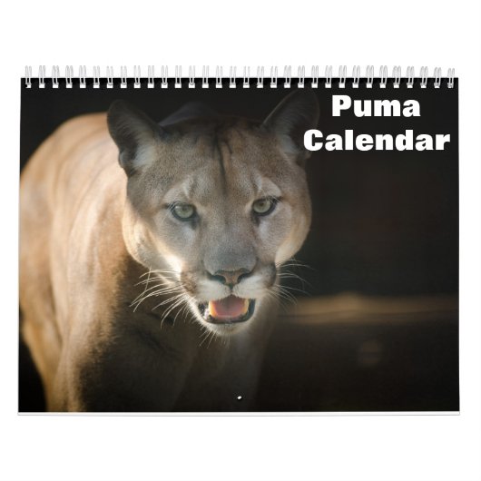 Calendrier 2027 Puma (Protection)