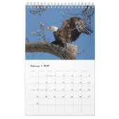 Calendrier 2027 Pygargues à tête blanche | Photographie de fa (Feb 2027)