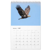 Calendrier 2027 Pygargues à tête blanche | Photographie de fa (Jan 2027)