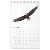 Calendrier 2027 Pygargues à tête blanche | Photographie de fa (Mar 2027)