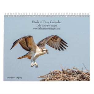 Calendrier 2027 Rapaces d'Amérique du Nord, Photo d'Oiseaux d