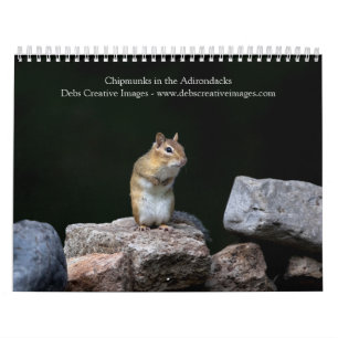 Calendrier 2027 Tamias des Adirondacks Faune forestière