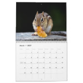 Calendrier 2027 Tamias des Adirondacks | Faune forestière (Mar 2027)