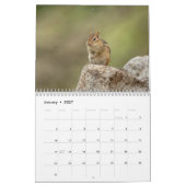 Calendrier 2027 Tamias des Adirondacks | Faune forestière (Jan 2027)