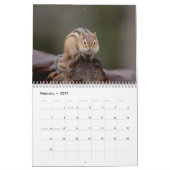 Calendrier 2027 Tamias des Adirondacks | Faune forestière (Feb 2027)