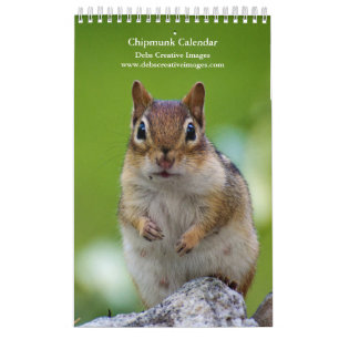 Calendrier 2027 Tamias des Adirondacks   Photographie de faun