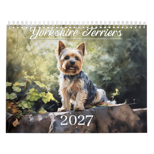 Calendrier 2027 Yorkshires Terriers (Protection)