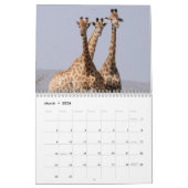 Calendrier 20xx - Afrique (Mar 2026)