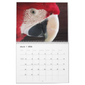 Calendrier 20xx - Amérique du Sud (Mar 2026)