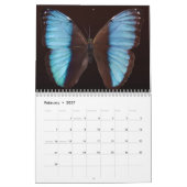 Calendrier 20xx - Amérique du Sud (Feb 2027)