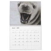 Calendrier 20xx - Antarctique (Mar 2027)