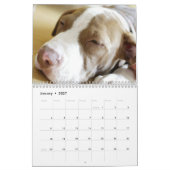 Calendrier 20xx - Chiens et chiots mignons (Jan 2027)