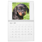 Calendrier 20xx - Chiens et chiots mignons (Mar 2027)