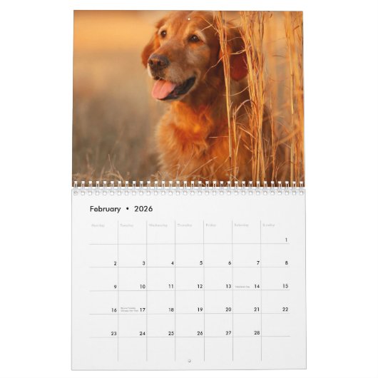Calendrier 20xx - Chiens et chiots mignons (Feb 2026)