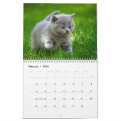Calendrier 20xx - Cute Kittens and Cats (Feb 2026)