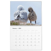 Calendrier 20xx - Nouvelle-Zélande (Feb 2026)