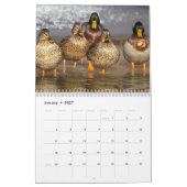Calendrier 20xx - Oiseaux (Jan 2027)