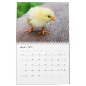 Calendrier 20xx - Oiseaux (Mar 2027)