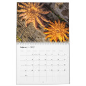 Calendrier 2 an 2024/2025 (Feb 2027)