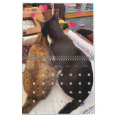 Calendrier 2 ans PA Paws 2023-2024 (Feb 2027)