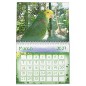 Calendrier 2 d'oiseau (Mar 2027)