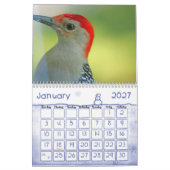 Calendrier 2 d'oiseau (Jan 2027)